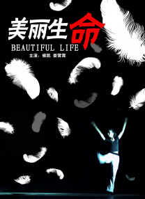 记忆中的你